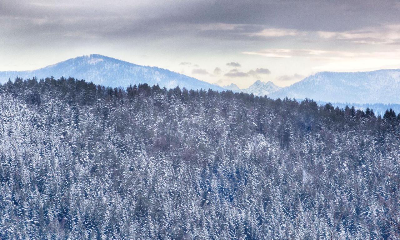 Sloneczny Chelm - Apartamenty W Gorach, Prywatna Sauna Jacuzzi Balia W Cenie, Spa, Grill, Stok Narciarski Myslenice, Sciezki Rowerowe, Rzeka Raba, Widok Na Tatry Luaran gambar