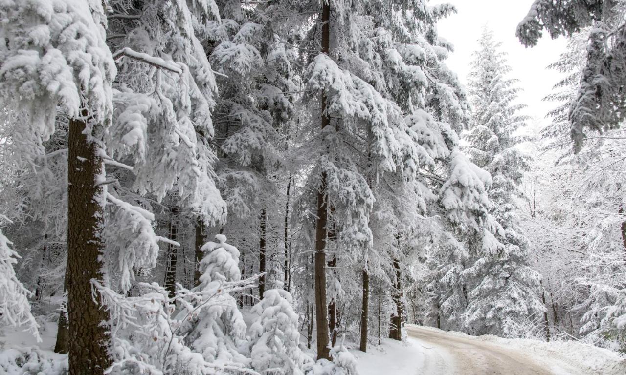 Sloneczny Chelm - Apartamenty W Gorach, Prywatna Sauna Jacuzzi Balia W Cenie, Spa, Grill, Stok Narciarski Myslenice, Sciezki Rowerowe, Rzeka Raba, Widok Na Tatry Luaran gambar