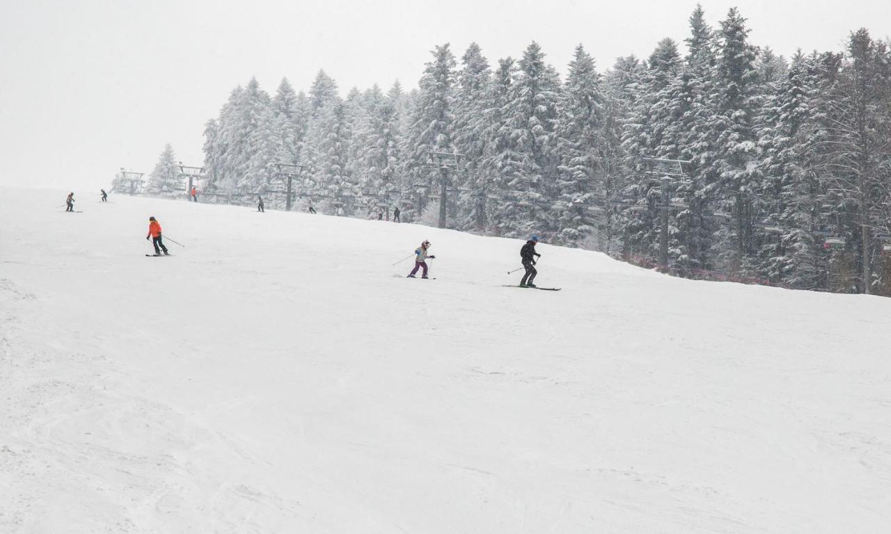 Sloneczny Chelm - Apartamenty W Gorach, Prywatna Sauna Jacuzzi Balia W Cenie, Spa, Grill, Stok Narciarski Myslenice, Sciezki Rowerowe, Rzeka Raba, Widok Na Tatry Luaran gambar
